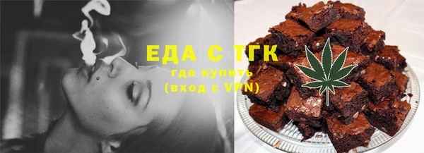 индика Верхний Тагил