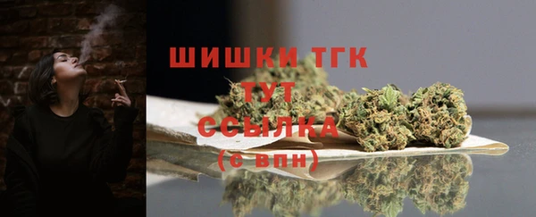 индика Верхний Тагил