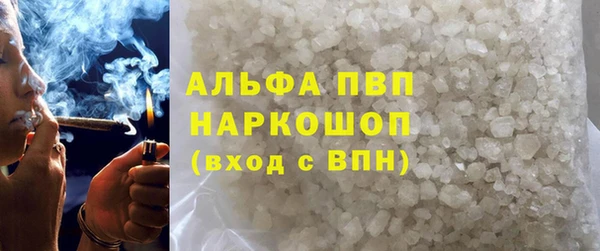 индика Верхний Тагил