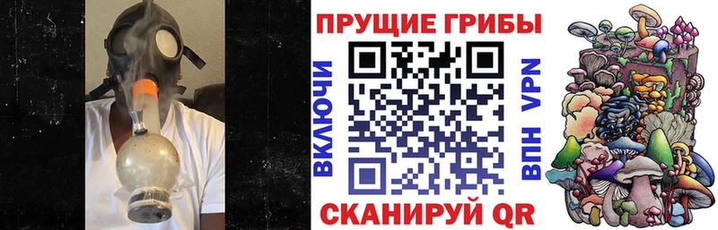 Галлюциногенные грибы Magic Shrooms  Купить  Галич 